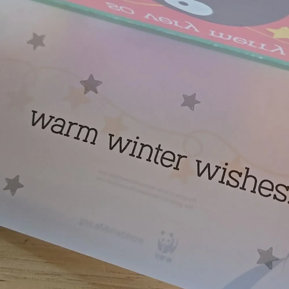 Festive Holiday Cards Red Green White Seasons Unisex Christmas 5 Card Bundle